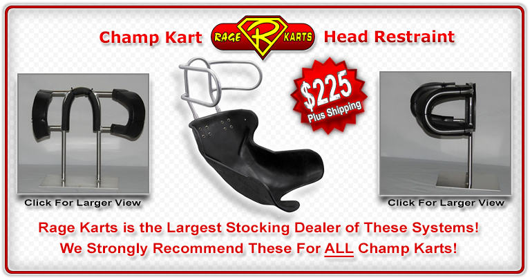 Head Restraint System